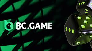 Everything You Need to Know About BC.Game Bonus Code